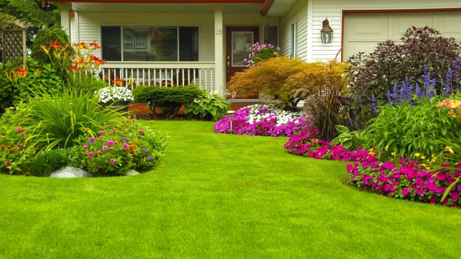 Front yard image