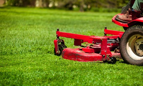 Mower image
